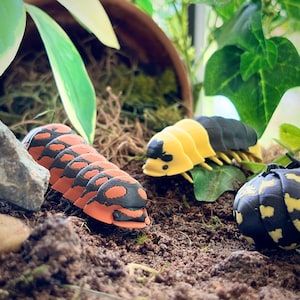 May include: Three colorful, 3D-printed insect models are displayed on a bed of soil and moss, surrounded by greenery. The insects include a segmented orange and black millipede, a yellow and black centipede, and a black and yellow beetle.