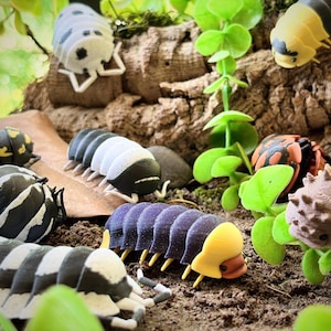 May include: A collection of colorful, 3D-printed isopods and millipedes in various designs. The insects are in shades of black, white, yellow, orange, and purple, arranged on a bed of soil and greenery.