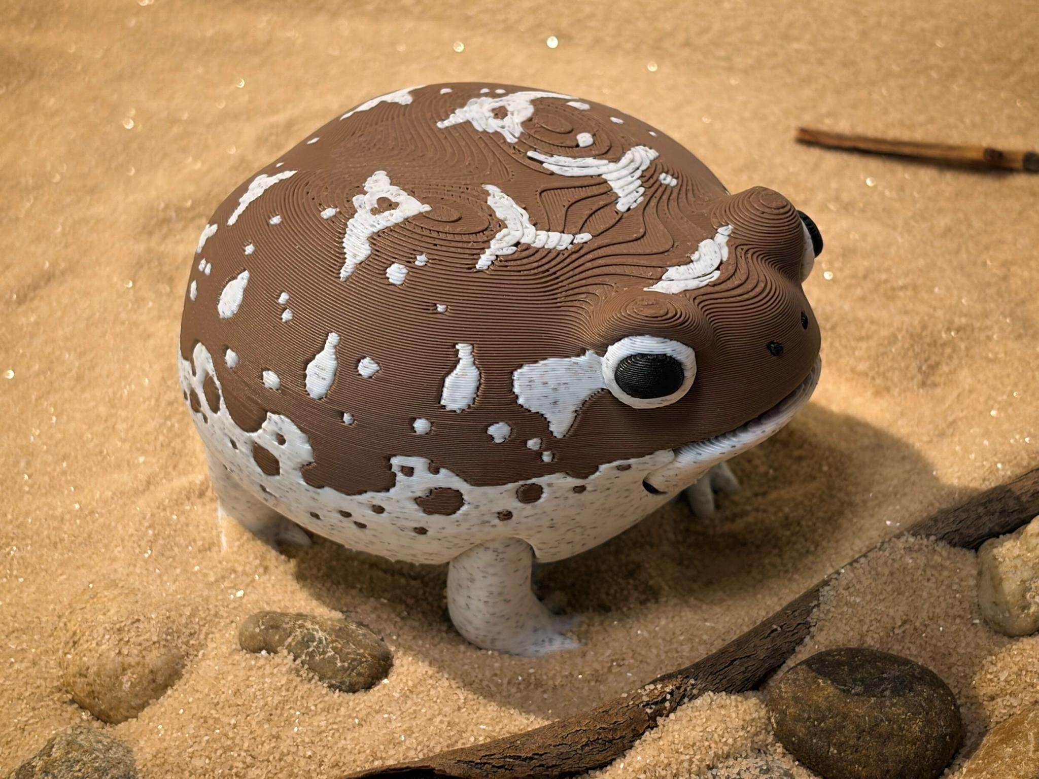 Desert rain frog - Etsy 日本