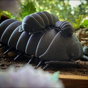 Wiggly Roly Poly Friend - Etsy