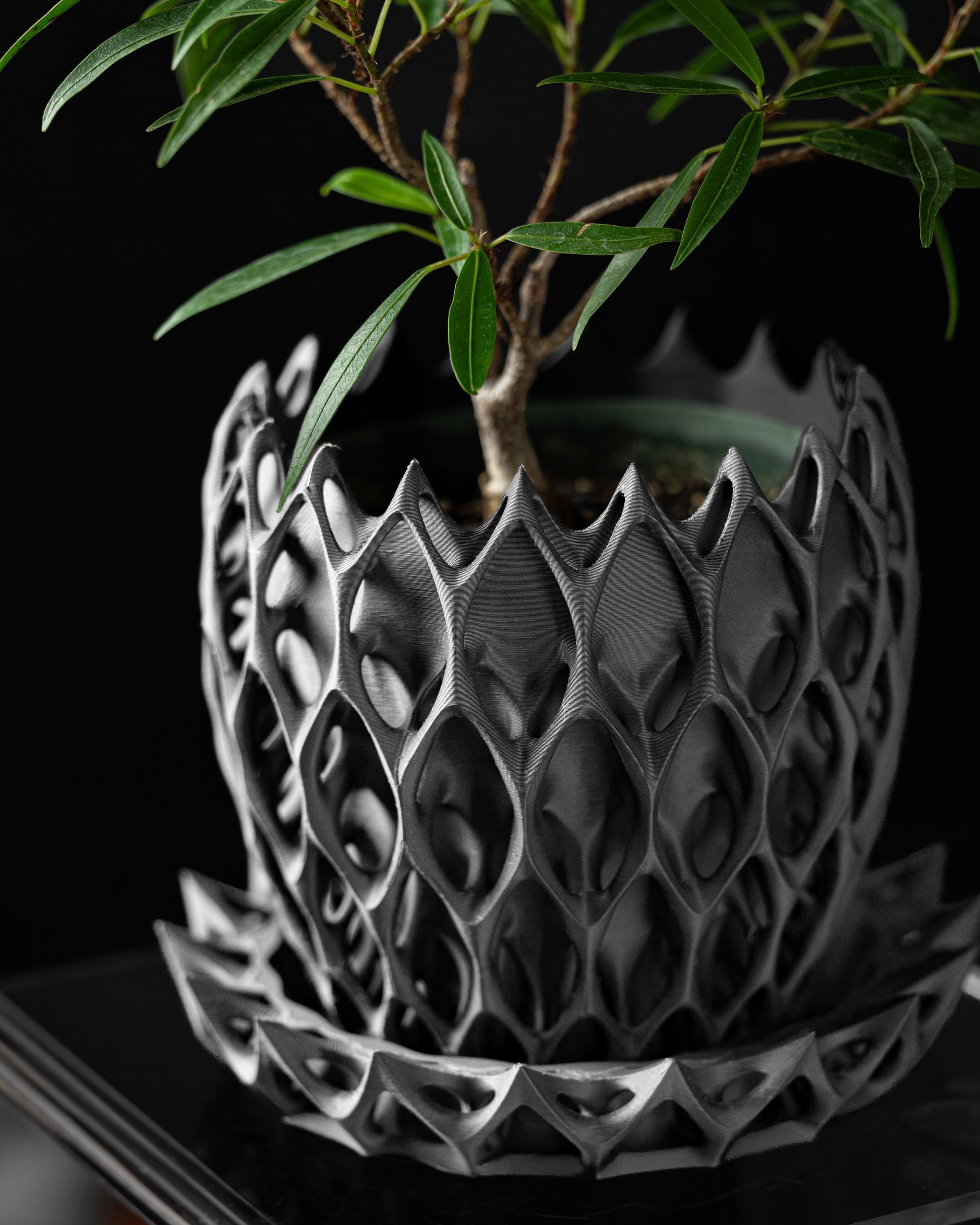 Gothic Planter - Sculpted Black Pot for Indoor Plants -  Modern Gift for Plant Lovers & Dark Home Decor