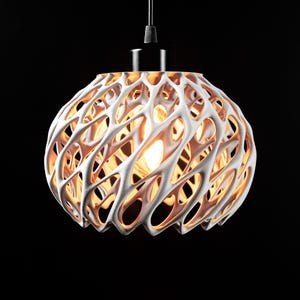 Abstract Pendant Lamp Shade - Modern Statement Lighting