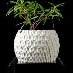 Moderner geometrischer Pflanzentopf - Stilvoller strukturierter Übertopf für Sukkulenten und Zimmerpflanzen