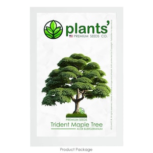 May include: A product package for Trident Maple Tree seeds. The package features a green leaf logo with the text "plants' PREMIUM SEEDS CO." and a photo of a mature Trident Maple Tree with green leaves. The text "PREMIUM SEEDS" and "ACER BUERGERIANUM" are also included on the package.