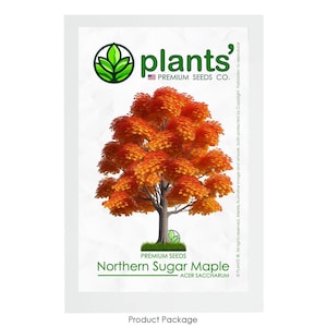 May include: A product package for Northern Sugar Maple seeds. The package features a colorful illustration of a maple tree with red and orange leaves. The text "plants' PREMIUM SEEDS CO." is at the top of the package. The text "Northern Sugar Maple ACER SACCHARUM" is at the bottom of the package.