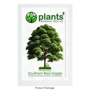Southern Red Maple Tree | Premium Seeds | Acer rubrum &#39;Summer&#39; | Plants&#39;®
