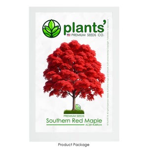 Southern Red Maple Tree | Premium Seeds | Acer rubrum &#39;Fall&#39; | Plants&#39;®