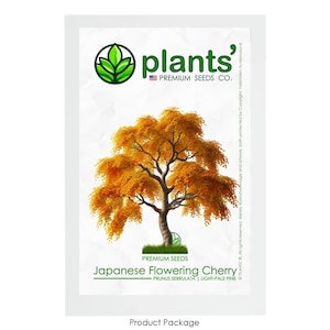 Japanese Flowering Cherry Tree | Premium Seeds | Prunus serrulata &#39;Fall&#39; | Pink Bloom | Plants&#39;®
