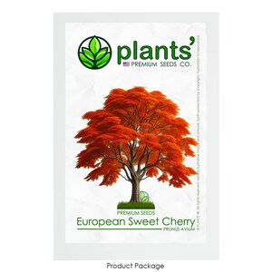 European Sweet Cherry Tree | Premium Seeds | Prunus avium &#39;Fall&#39; | Plants&#39;®