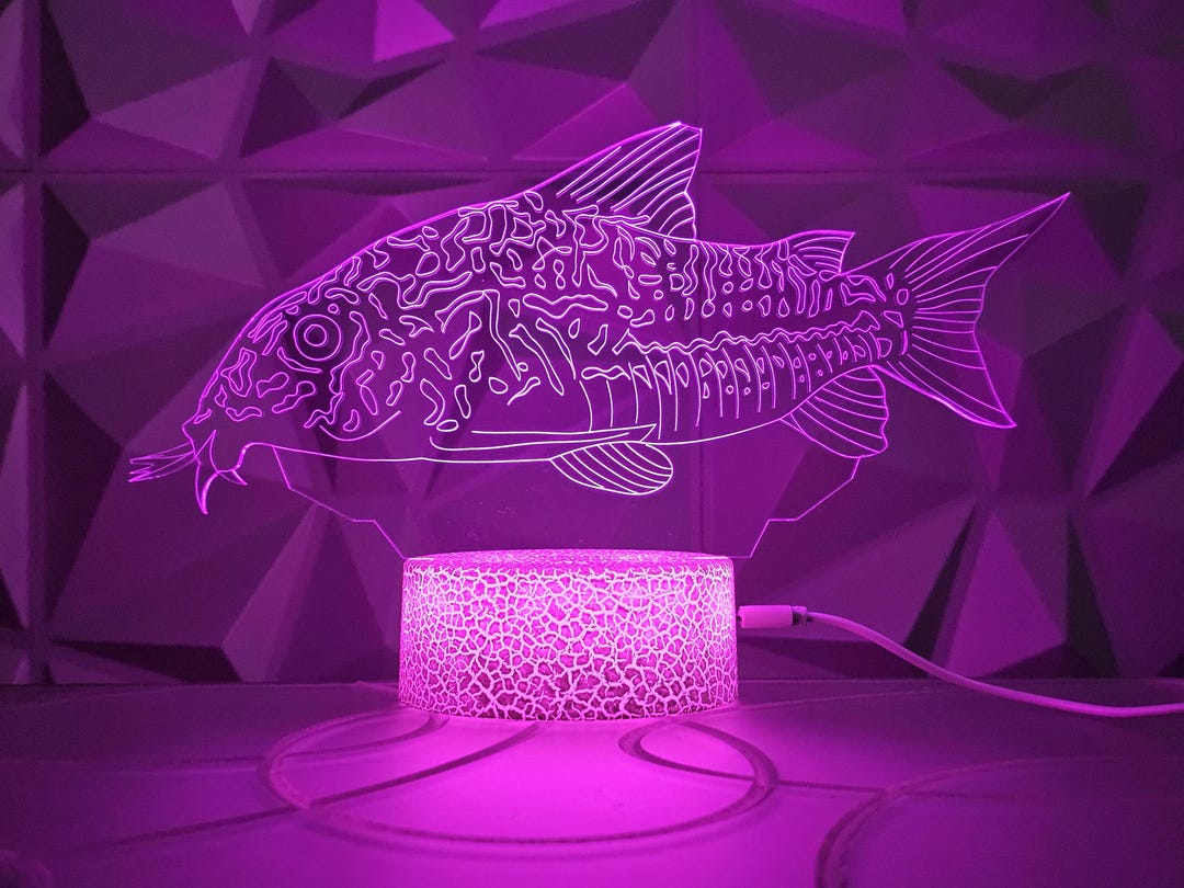 Freshwater Cory Catfish Fish Fishing 3D Illusion LED Night Light Sign ...