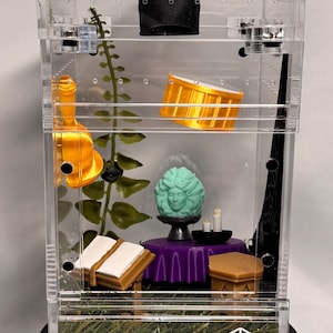 Séance Sanctum Jumping Spider enclosure