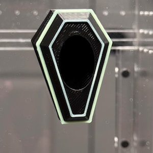 Coffin Jumping Spider Hide