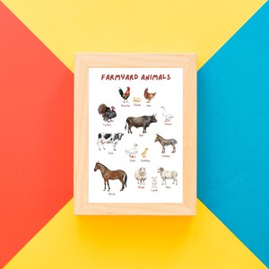 May include: A framed educational chart with illustrations of farm animals. The chart is titled "Farmyard Animals" and includes images of a rooster, chick, hen, turkey, bull, goose, cow, duck, duckling, donkey, horse, sheep, lamb, and ram.