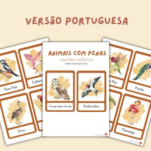May include: A set of colorful flashcards featuring various birds with their names in Portuguese. The cards are designed for learning about animals with feathers.