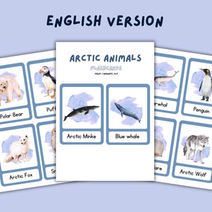 Cartes-éclair en 3 parties Montessori des animaux de l'Arctique : activité éducative pour les tout-petits et les enfants d'âge préscolaire