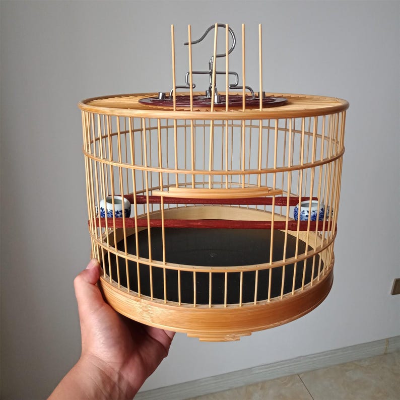 Image showcasing 5 Best Macaw Cages For Sale: Cage Setups, Sizes, Reviews