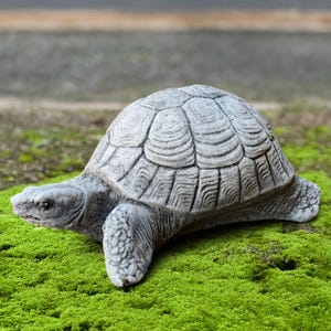 Cute turtle statue Concrete tortoise garden figurine Outdoor wild animal sculpture Stone yard ornament Turtle lover gift Handmade art