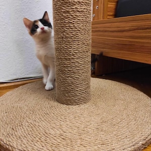 Puede incluir: Un rascador para gatos con base redonda y superficie cilíndrica alta para rascar, hecha de cuerda trenzada. Un pequeño gato tricolor con pelaje blanco, negro y naranja está cerca del poste, mirando hacia arriba.