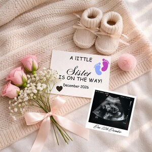 May include: A pregnancy announcement scene with knitted baby booties, a bouquet of pink roses, and an ultrasound scan. A card reads "A Little Sister Is On The Way!" with the due date of December 2026.