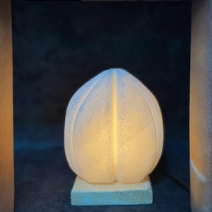 Cankiri Rock Salt Lamp - Natural Stone Table Lamp - E14 Socket Electric Design