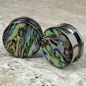 May include: A pair of iridescent abalone shell ear gauges with a stainless steel outer ring. The gauges have a green, blue, and brown color pattern.