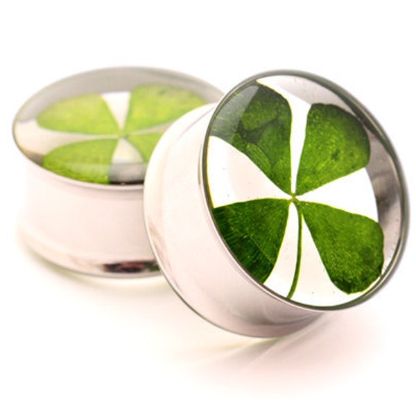 Real 4 Leaf Clover Embedded Plugs (EMB-003) gauges - 5/8", 3/4", 7/8", 1", 28mm, 32mm, 35mm, 38mm