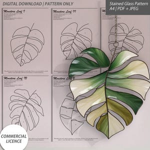 5 padrões de vitrais com folhas de Monstera | Download digital