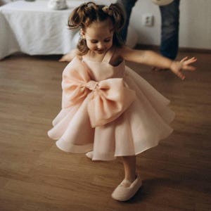 Elegant Pink Baby Girl Dress with Big Bow: Birthday Party Outfit