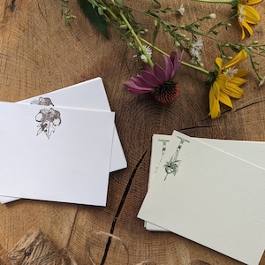 Macrame Plant Hanger & Acorn Letterpress Note Card Set