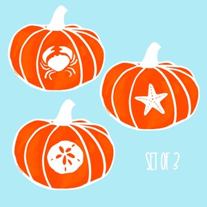 Coastal Pumpkin Sticker Set: Crab, Starfish, Sand Dollar - Waterproof Vinyl