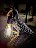 3D Crow Lamp: Animal-Inspired LED Table Lamp