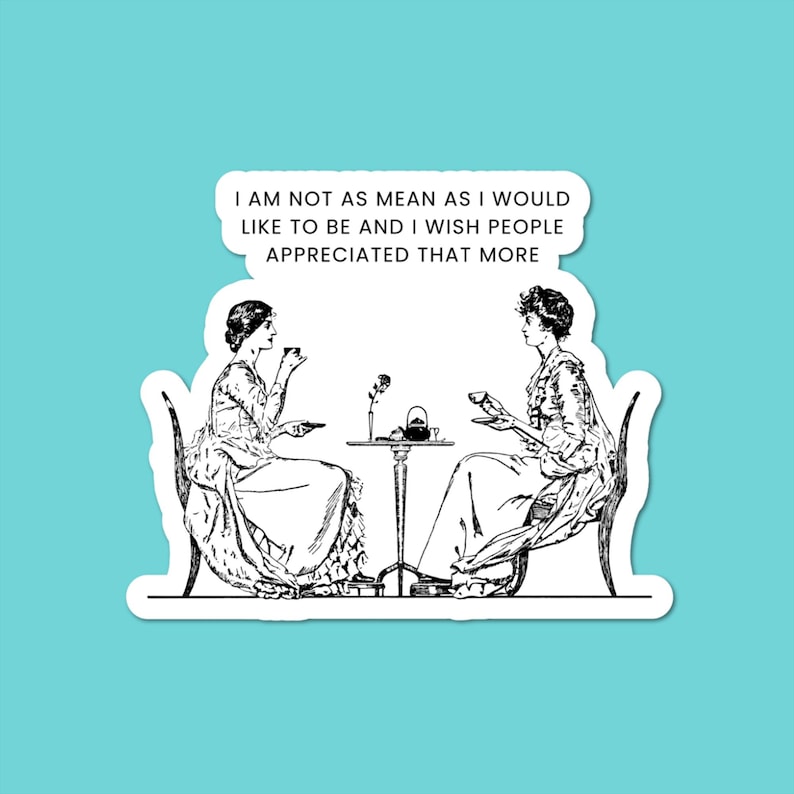 I Am Not As Mean Sticker, Vinyl Sticker, Sarcastic Sticker, Humorous, Funny Stickers, Kindle Sticker, Laptop Decal, Funny Quotes, Sarcasm image 1