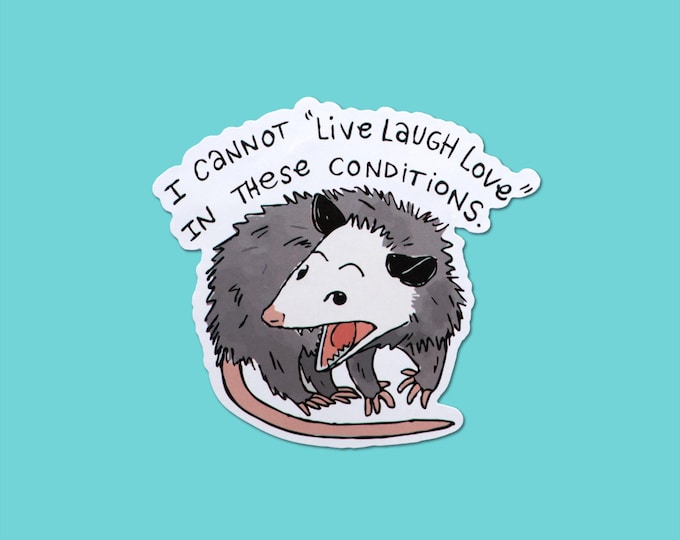 I Cannot Live Laugh Love In These Conditions Sticker, Funny Opossum Decal, Stickers For Laptop And Water Bottle, Humor Stickers, Funny Gifts