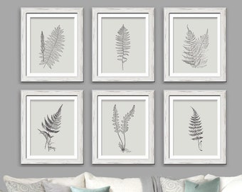 Ferns Garden Botanical Prints (Series S) Set of 6 - Art Prints (Featured in River Rock on Greige) Farmhouse Botanical Art Print