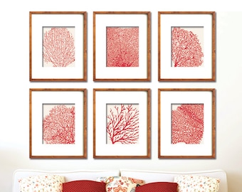 Underwater Sea Coral Collection (Series D) Set of 6 - Art Prints - Featured in Featured in Ruby Red and Soft Cream