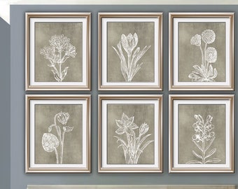 Wild Flowers Botanical Prints (Series M6) Set of 6 - Art Prints (Featured in Italian Stone with White Flowers) Botanical Flower Art Prints