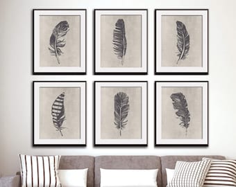 Birds of a Feather (Series 6A) Set of 6 - Art Prints (Featured in Charcoal on Stone Wash) Feather Wall Art