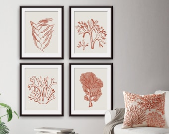 Coral Prints Set of 4 Unframed Art Prints Seaweed Vintage Coastal Beach House Wall Decor Antique Art Nautical Wall Decor Beach House Art