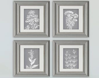 Wild Field Flower  (Series B2) Set of 4 - Art Prints (Featured in Flint) Neutral Botanical Flower Art Prints