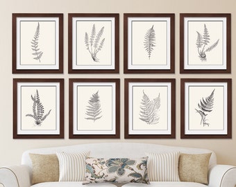 Ferns Garden Botanical Prints (Series F) Set of 8 - Art Prints (Featured in Black on Soft Cream) Botanical Art Prints / Posters