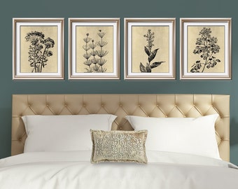 Wild Field Flower  (Series B2 - A) Set of 4 - Art Prints (Featured in Washed Linen and Black) Botanical Flower Art Prints