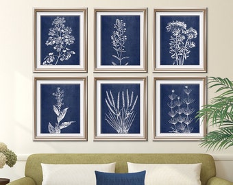 Wild Field Flowers (Series B7) Set of 6 - Art Prints (Featured in China Blue Silk) Botanical Flower Art Prints