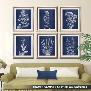 Wild Field Flowers Series B7 Set of 6 Art Prints Featured in China Blue Silk Botanical Flower Art Prints image 1