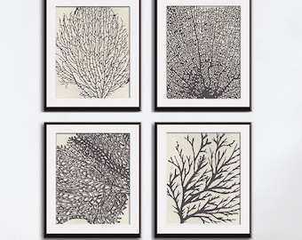 Underwater Sea Coral Collection (Series C) Set of 4 - Art Prints (Featured in Charcoal on Stone Wash)