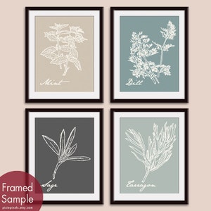 French Herb Prints (Series A4) Set of 4 - Art Poster Prints (Featured in Neutral Color Palette) Provincial Vintage Modern Art Prints