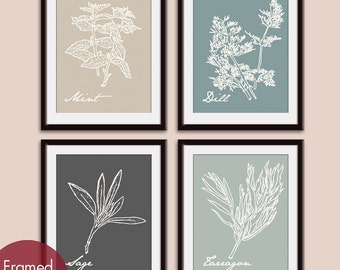 French Herb Prints (Series A4) Set of 4 - Art Poster Prints (Featured in Neutral Color Palette) Provincial Vintage Modern Art Prints