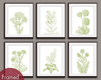 Wild Flower Botanical Prints (Series M2) - Set of 6 - Art Prints (Featured in Basil on White) Garden Art Prints / Posters