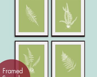 Ferns Garden Botanical Prints (Series D) Set of 4 - Art Prints (Featured in Basil and White)