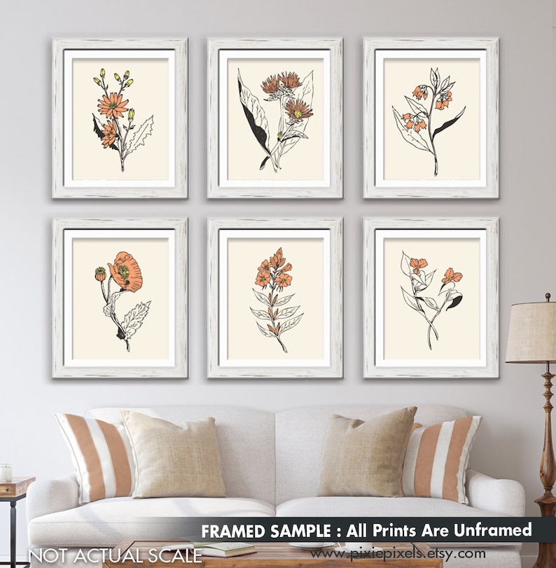 Featured on Cream with Cadmium Orange Accent Set of 6 Botanical Flower Art Poster Unframed Art Prints A1 Minimalist Wild Flower Sketch