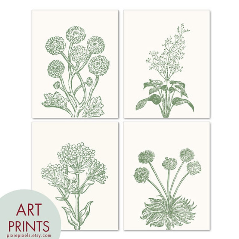 Wild Flowers Botanical Prints Series C Set of 4 Art PRINTS Featured in Thyme and Soft Cream image 2